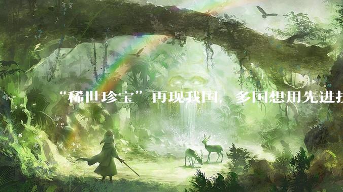 “稀世珍宝”再现我国，多国想用先进技术来换，都被我国逐一拒绝_中国_***_发动机