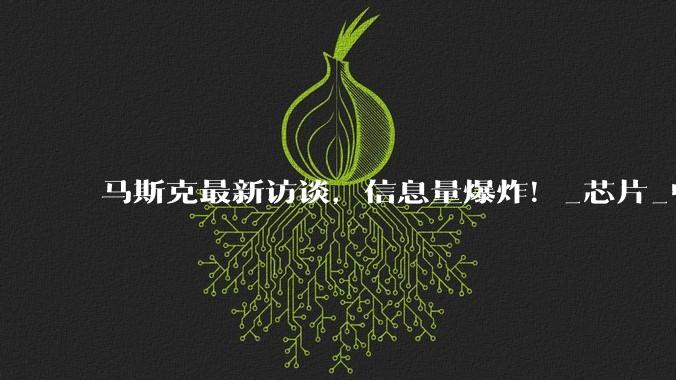 马斯克最新访谈，信息量爆炸！_芯片_中国_电力