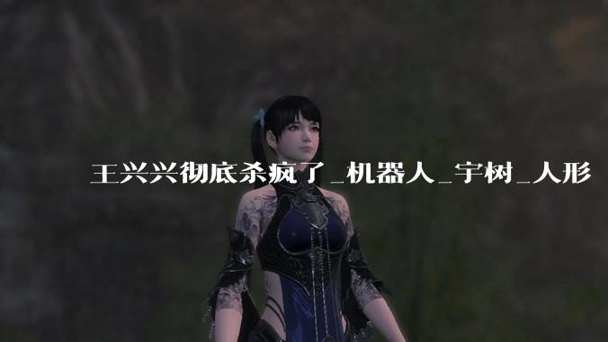 王兴兴彻底杀疯了_机器人_宇树_人形